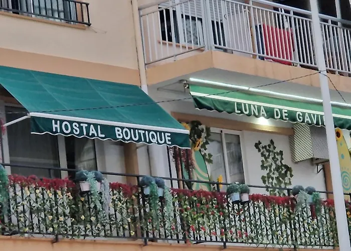 Boutique Luna De Gavin 4* Cullera