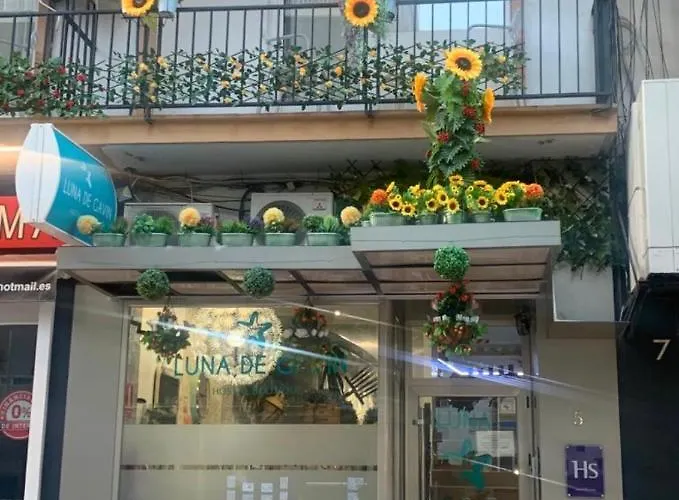 Vendégház Boutique Luna De Gavin Cullera